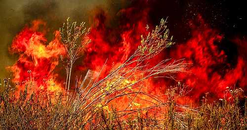 Largest California wildfire of 2025 reaches "mega fire" status