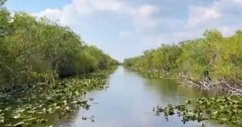 Flesh-eating bacteria cases on the rise in Florida, five deaths reported