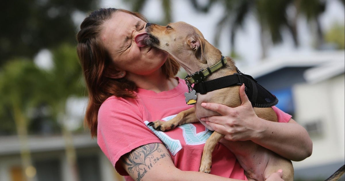 Some colleges allowing pets to live in dorms to reduce stress, anxiety