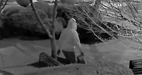 Judge declines to rule immediately on releasing suspected D.C. pipe bomber from pre-trial detention