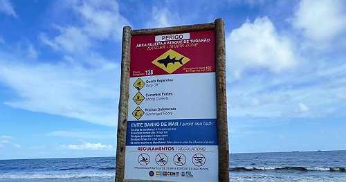 Shark kills 13-year-old boy at popular beach in Brazil: "Ate almost his entire leg"