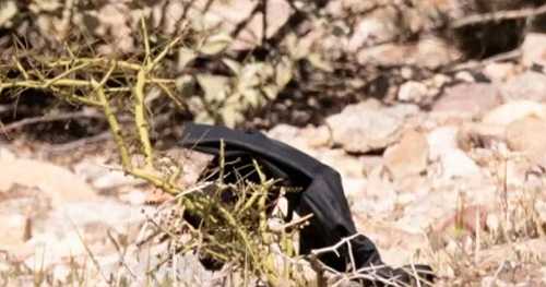 Investigators search near Nancy Guthrie