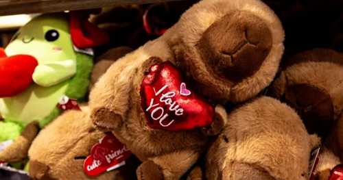 Dating and romance advice ahead of Valentine