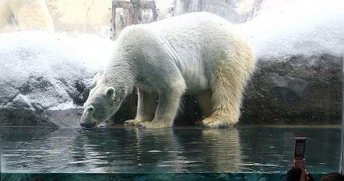 Zoo worker arrested for allegedly dumping wife