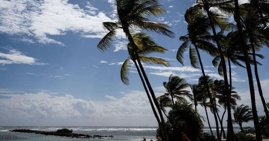 French scientists discover new blood type in Guadeloupe woman