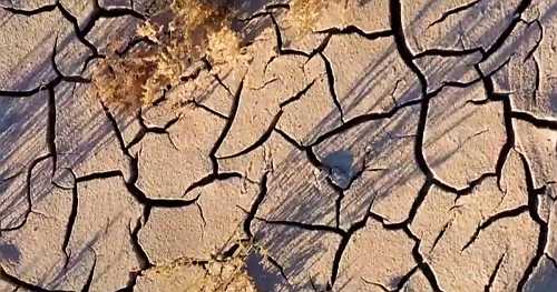 Earth has seen some of its worst droughts ever recorded in last two years, report finds