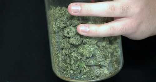 Texas lawmakers going after hemp again after governor