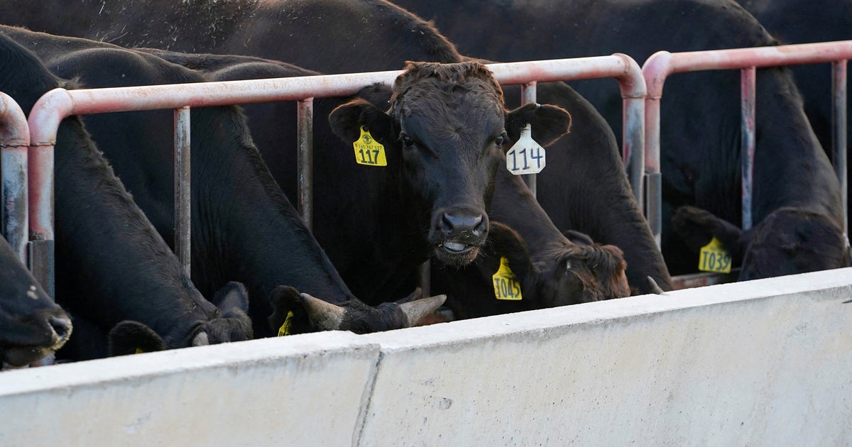 Trump admin. touts "major trade breakthrough" as Australia says it will ease U.S. beef import restrictions