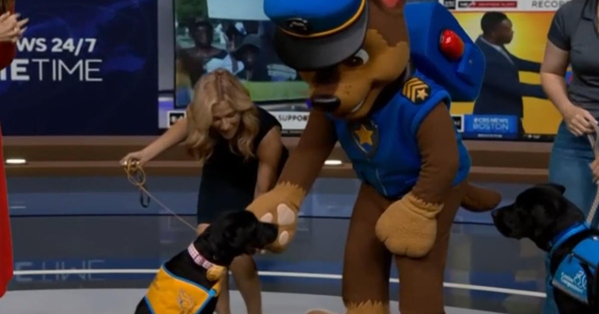 How Canine Companions service dogs help with tasks; Chase from "Paw Patrol" joins CBS News