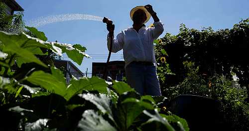 Green spaces crucial to combating record heat in marginalized communities