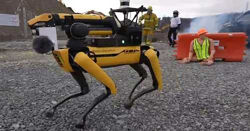 Robot "dogs" sniff out places too dangerous for humans