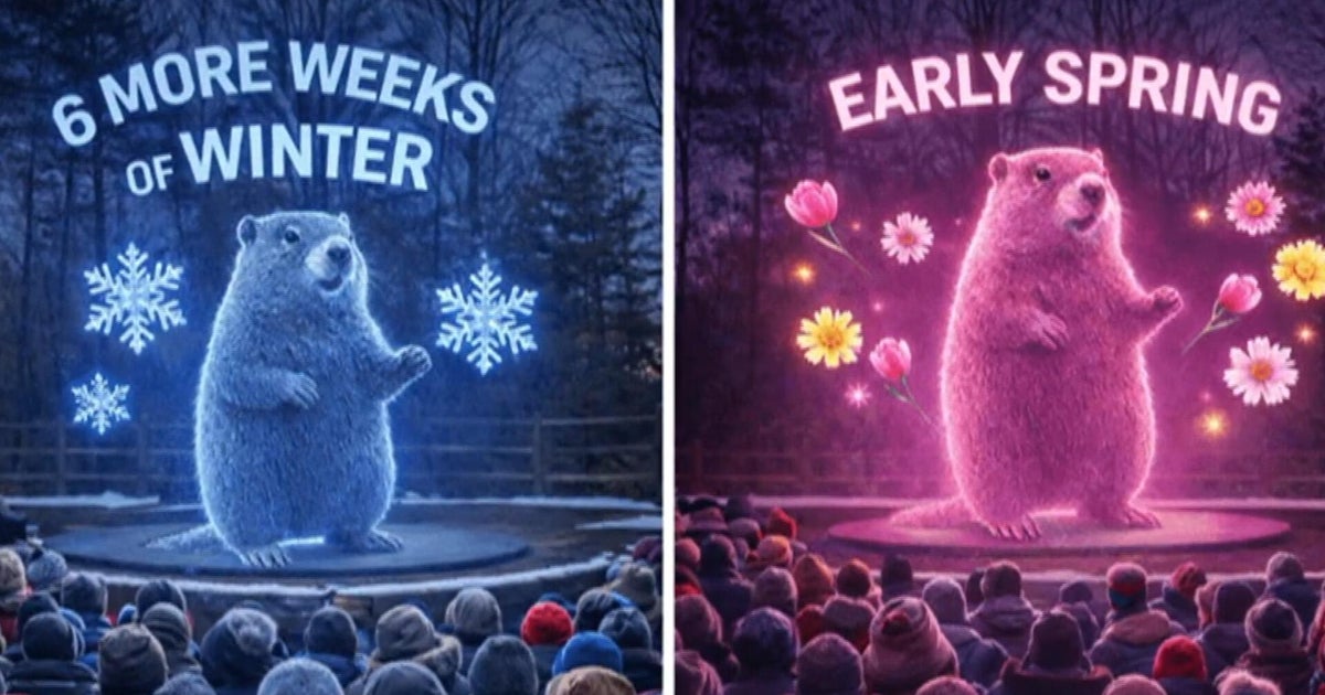 PETA suggests 3D hologram replace Punxsutawney Phil on Groundhog Day