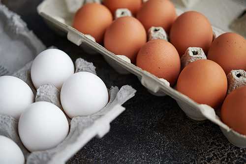1.7 Million Dozen Eggs Recalled Due to Salmonella Outbreak