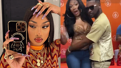 Fan Sparks Backlash After Getting Too Handsy at Megan Thee Stallion Meet-and-Greet