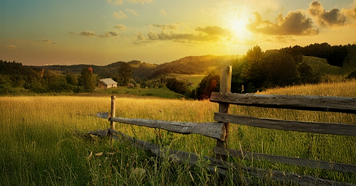 U.S. Farms Are Going Broke Fast — 2025 Filings Already Beat All of Last Year