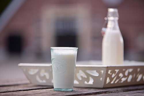 Florida Raw Milk Outbreak: 21 Infected, 7 Hospitalized