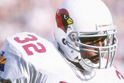 Ex-NFL Player LeShon Johnson Convicted for Dog Fighting: 190 Dogs Rescued