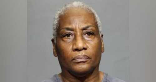 Black Woman Accused of Running Over 11 Ducklings Faces 55 Years In Prison