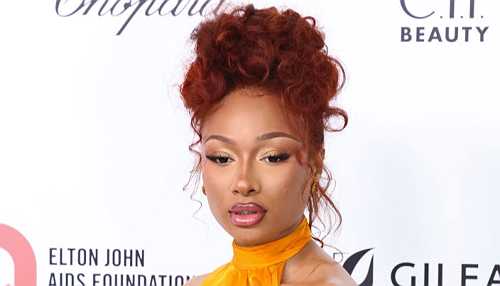 Bye, Milagro! Megan Thee Stallion Seeks Permanent Injunction To Block Blogger’s Constant Commenting