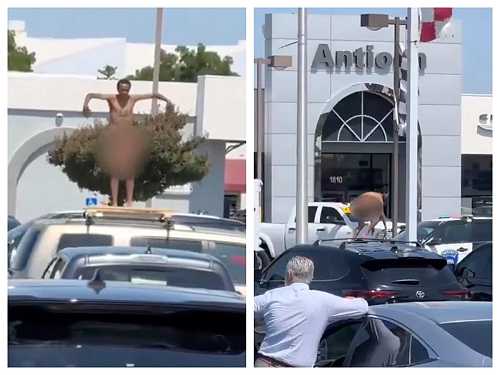 Naked man seen in viral video dancing on top of moving police car before being detained - Face2Face Africa