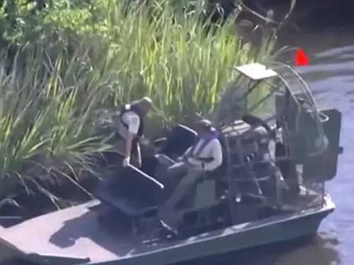 Florida authorities call for alert after alligator mauls wife, 61, canoeing with her husband - Face2Face Africa