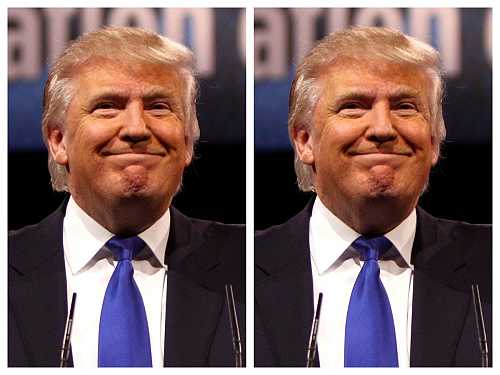 Trump library plans revived after judge dismisses Miami land lawsuit - Face2Face Africa