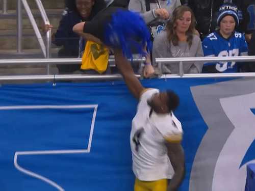 Lions fan discloses what he told DK Metcalf before he threw a punch at him - Face2Face Africa