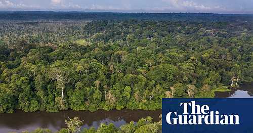 The Congo basin may be the world’s most important rainforest – why is it the least researched?