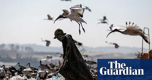 ‘At one point, I stepped on a cow’s head’: Gulshan Khan on her best photograph