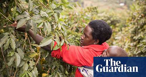 Cloth wraps treated with ‘dirt cheap’ insecticide cut malaria cases in babies