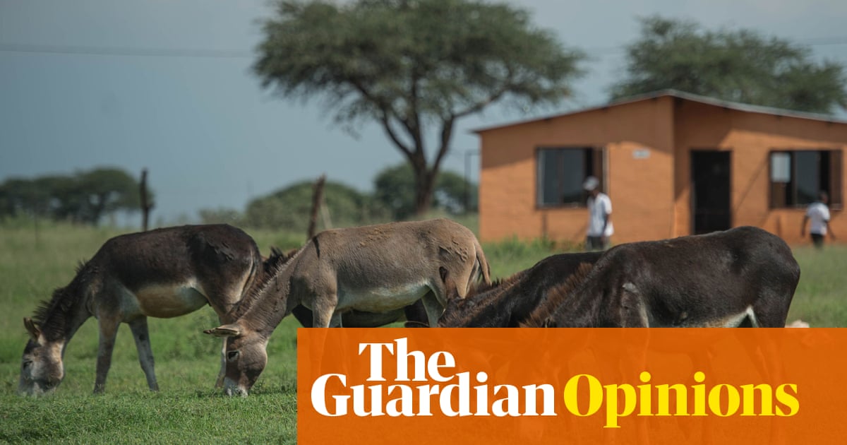 The Guardian view on China, Africa and disappearing donkeys: an unexpected crisis offers a clue to perils ahead | Editorial
