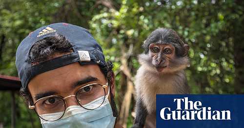 ‘I consider him my first son’: how living with a baby monkey taught me I’m ready to be a dad