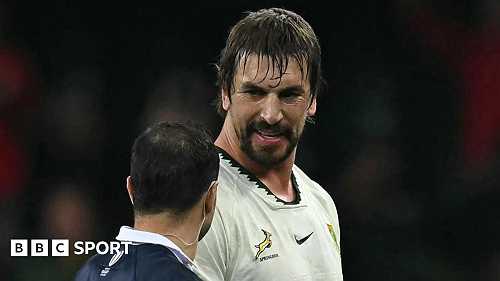 Etzebeth red card v Wales 