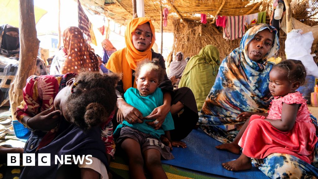 El-Fasher: Rebel forces say they have seized Sudan army headquarters