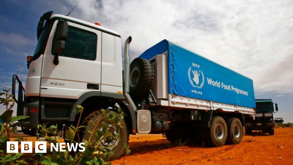 Sudan conflict: UN aid convoy attacked in el-Koma as it waits to go to North Darfur
