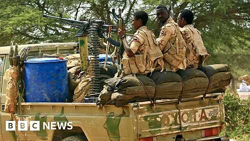 Sudan siege: War crimes alert as el-Fasher runs out of food