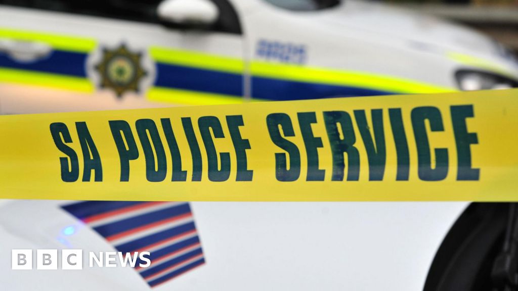 South Africa crime: Boy, 11, accidentally shoots farm worker dead in Limpopo province