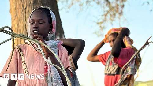 Sudan war: More than 60,000 flee el-Fasher after its capture by RSF militia, UN says