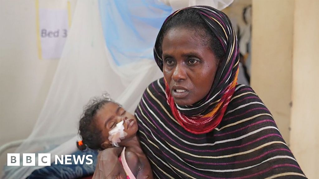 Sudan war: The mother who could only afford the drugs to save one of her twins