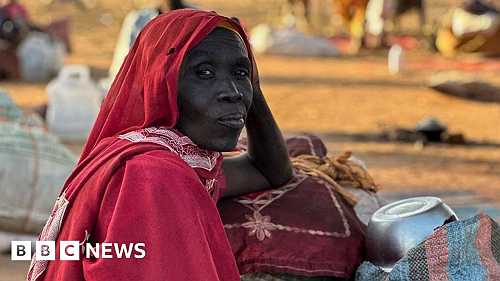 Sudan war: Reports of mass killings in el-Fasher in Darfur have echoes of country