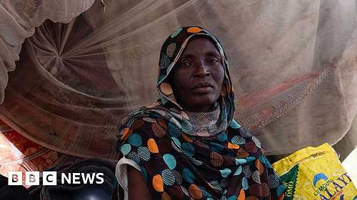 Sudan conflict: Mass killings investigation gets green light from UN