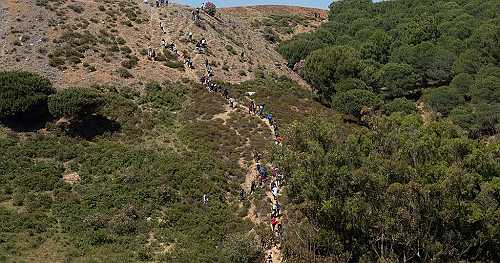 Rare bird species thrives in Morocco after succesful breeding program | Africanews