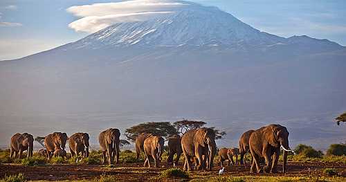 Five dead in Mount Kilimanjaro helicopter crash | Africanews