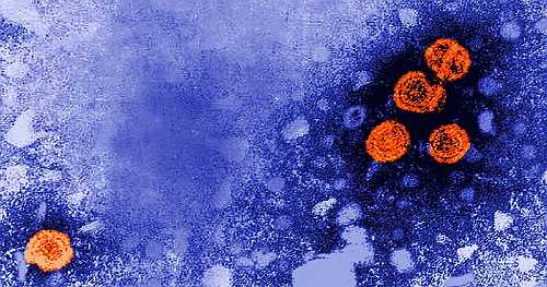 US-backed hepatitis B vaccine study halted in Guinea-Bissau | Africanews