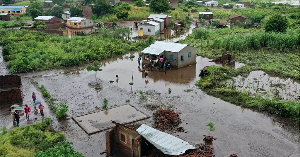 Mozambique: crocodiles appear in towns amid floods  | Africanews