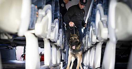 Interpol busts global human trafficking network, rescues 4,400 victims | Africanews