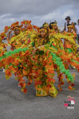 (BPRW) Miami Carnival’s Junior Carnival 2025 Delivers Culture, Color, and Community | Black PR Wire, Inc.