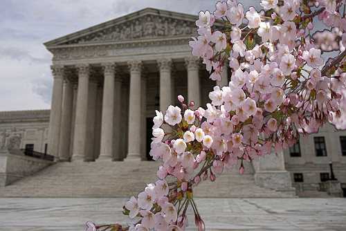 Louisiana v. Callais And Its Impact On Black Voting Rights