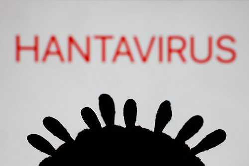 How Contagious Is The Hantavirus?