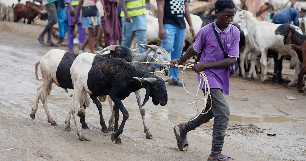 Nigerians struggle to afford rams for Eid celebrations as inflation soars | Africanews